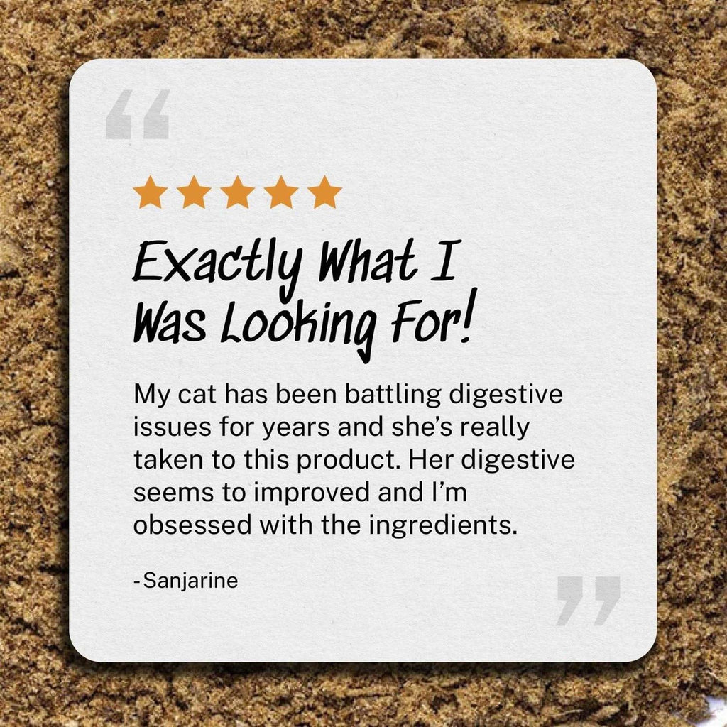 Elk Cat Food Topper Y8228