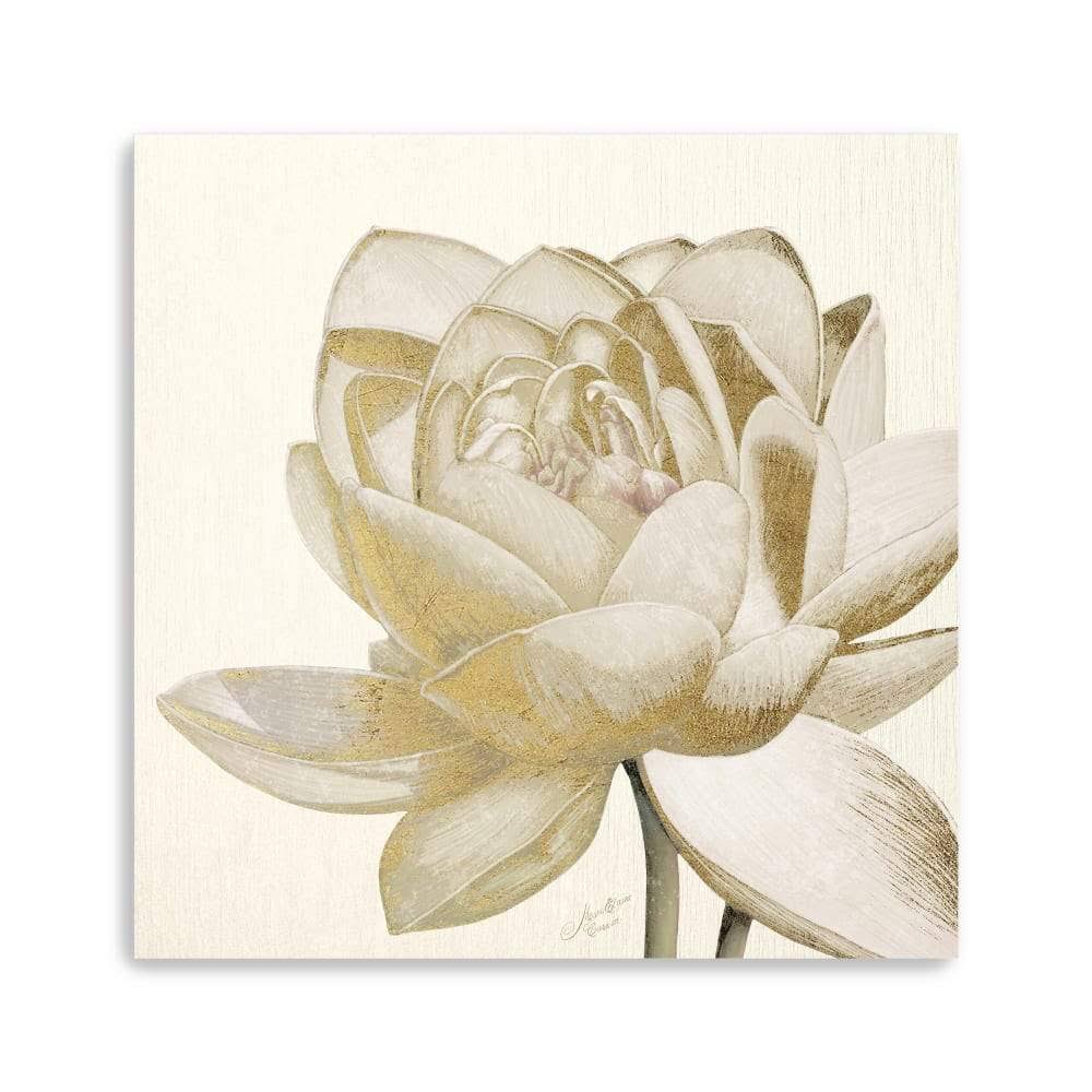Vintage Lotus Cream II Canvas Giclee B323179