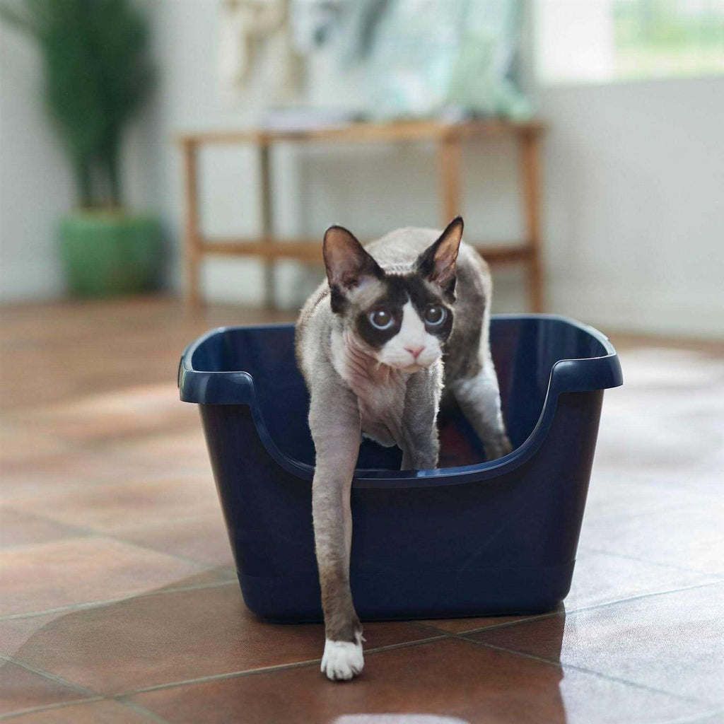 High Sided Cat Litter Box E96506