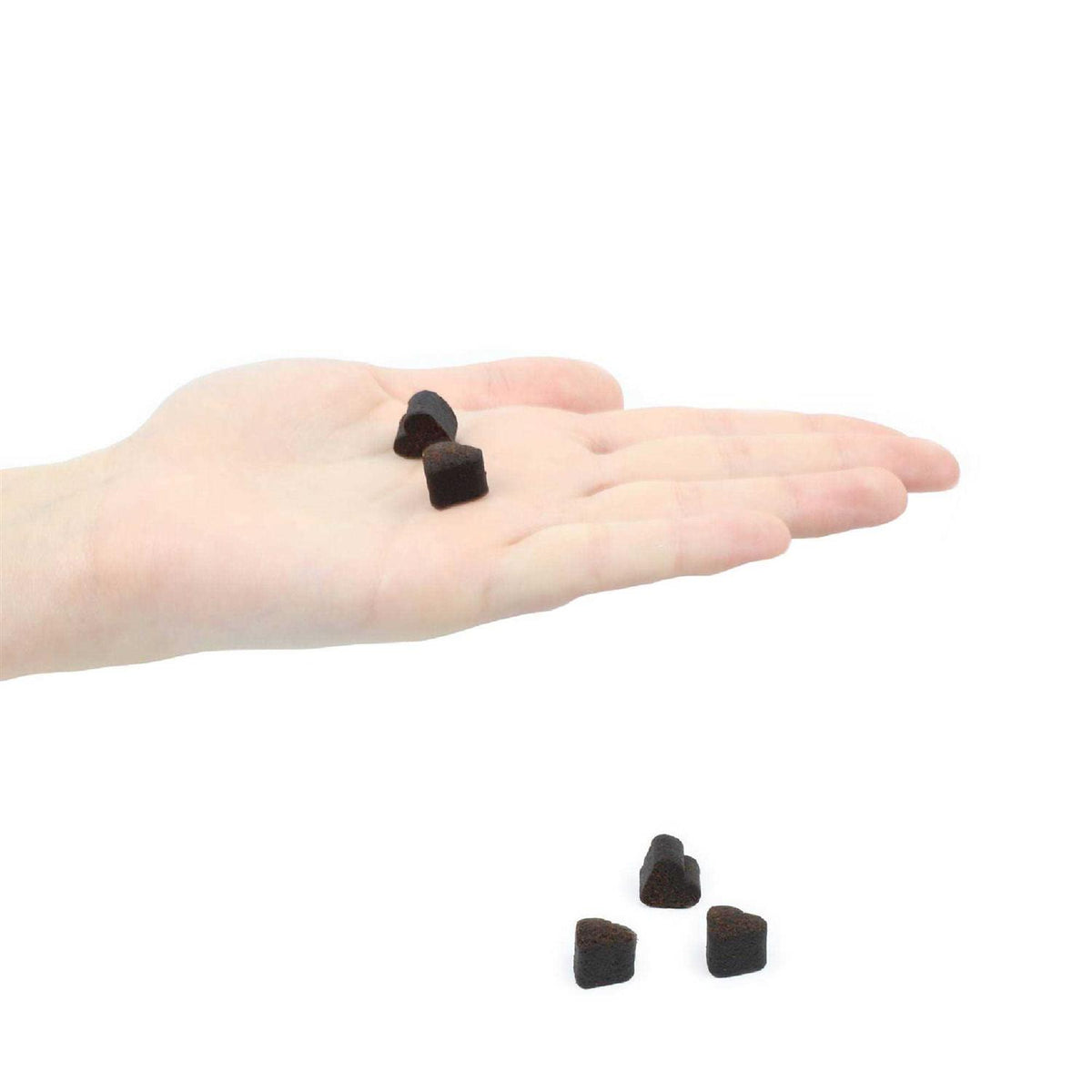Gray Muzzle Brain's Best Friend G439