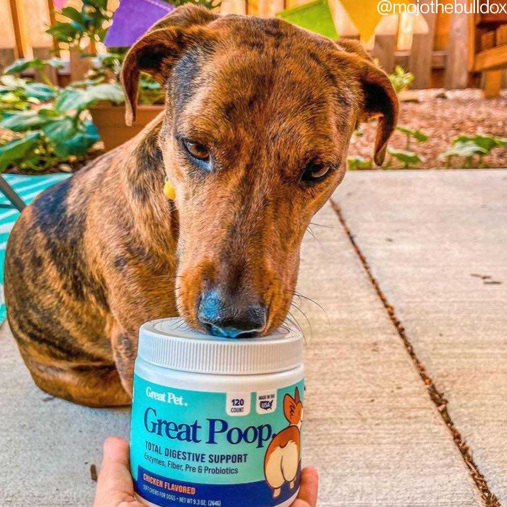 Probiotics for Dogs Digestive Enzymes Supplement G269