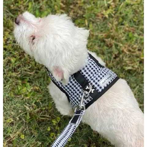 Teacup Gingham Dog Harness Vest L2169