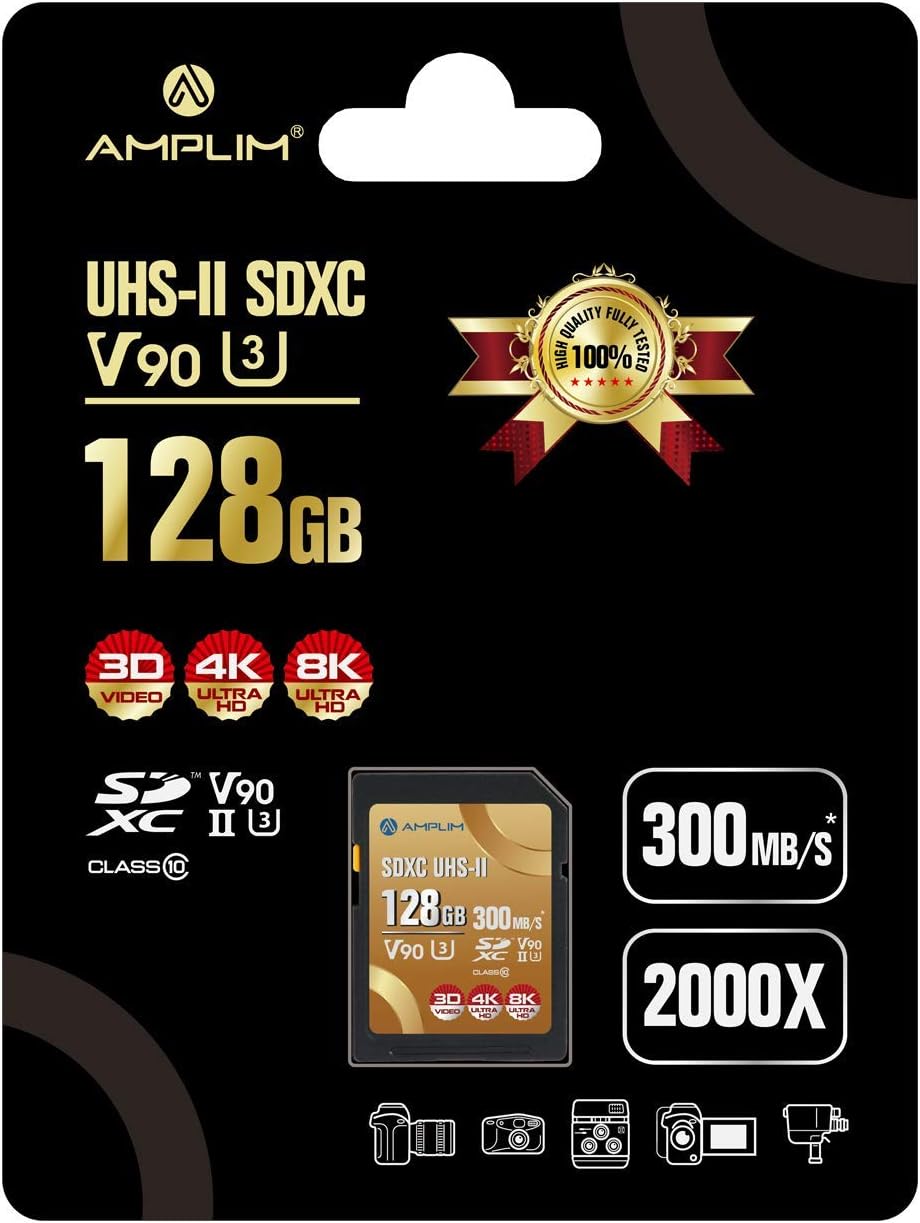 256GB V60 UHS-II SDXC Memory Card S85594