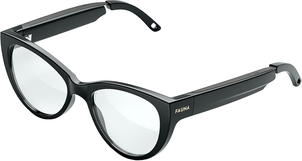 Bluetooth Audio Smart Glasses with Charging Case F4111