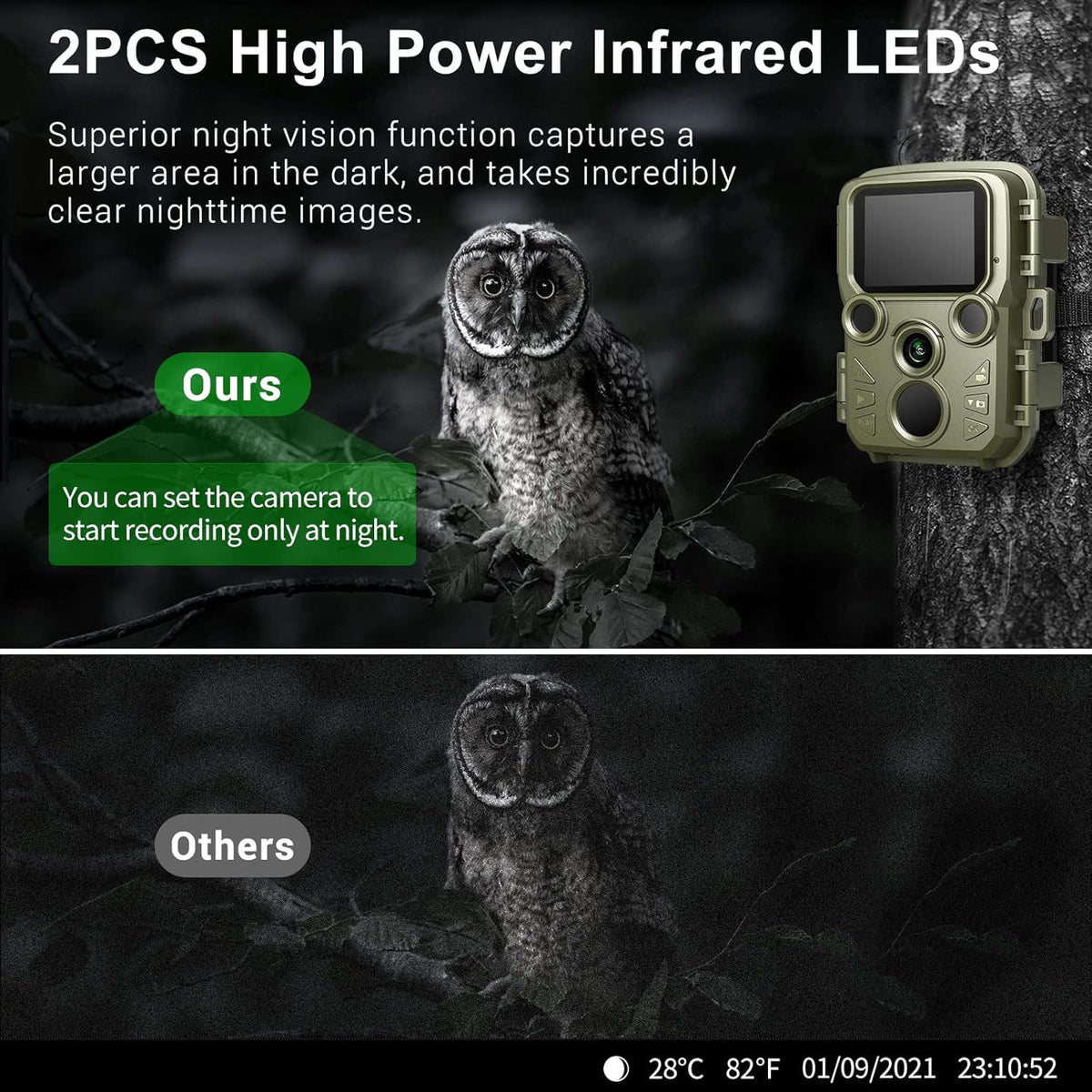 Mini Trail Camera 12MP 1080P with 65ft Night Vision IP66 Waterproof S631
