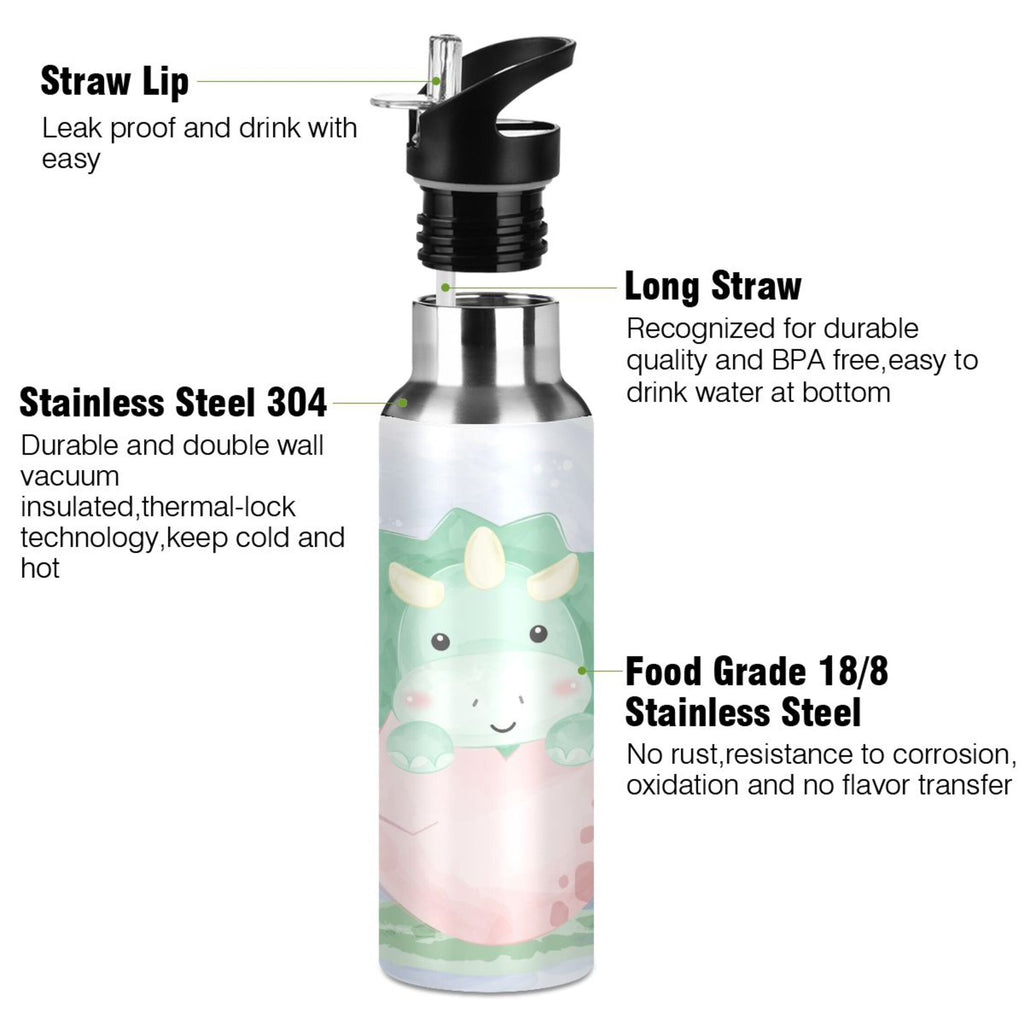 Stainless Steel Insulated Water Bottle with Straw Lid K1344