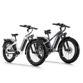 750W 48V 20Ah Removable Battery 26x4 Tire 7-Speed Electric Bike I376003