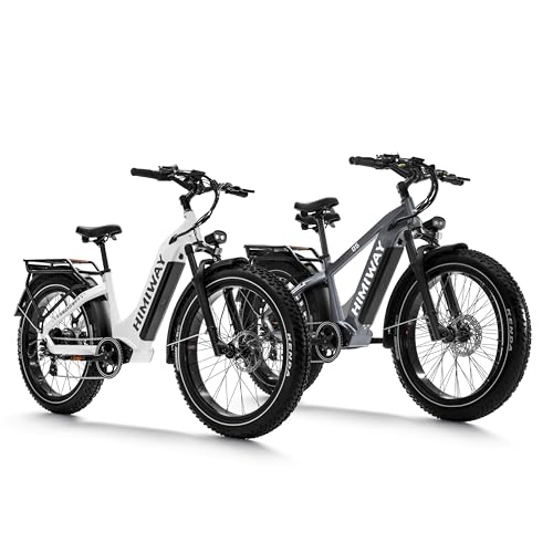 750W 48V 20Ah Removable Battery 26x4 Tire 7-Speed Electric Bike I376003