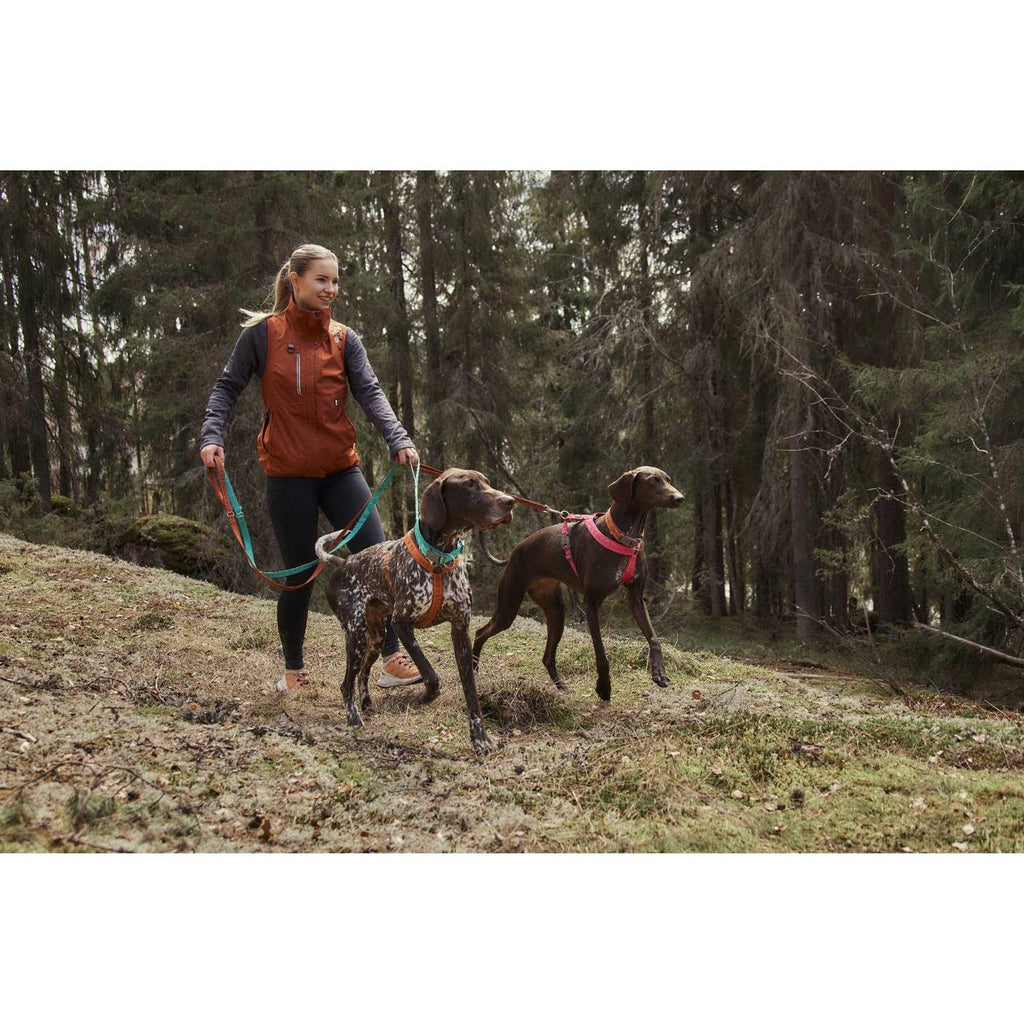 Dog Y-harness D12314