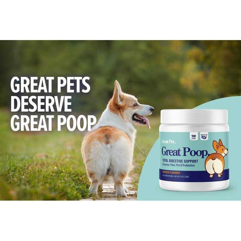 Probiotics for Dogs Digestive Enzymes Supplement G269