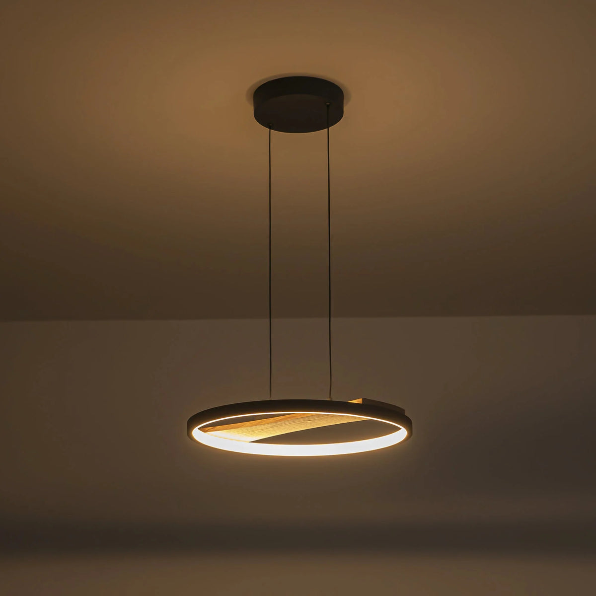 LED Circle Round Wood Pendant Y103365
