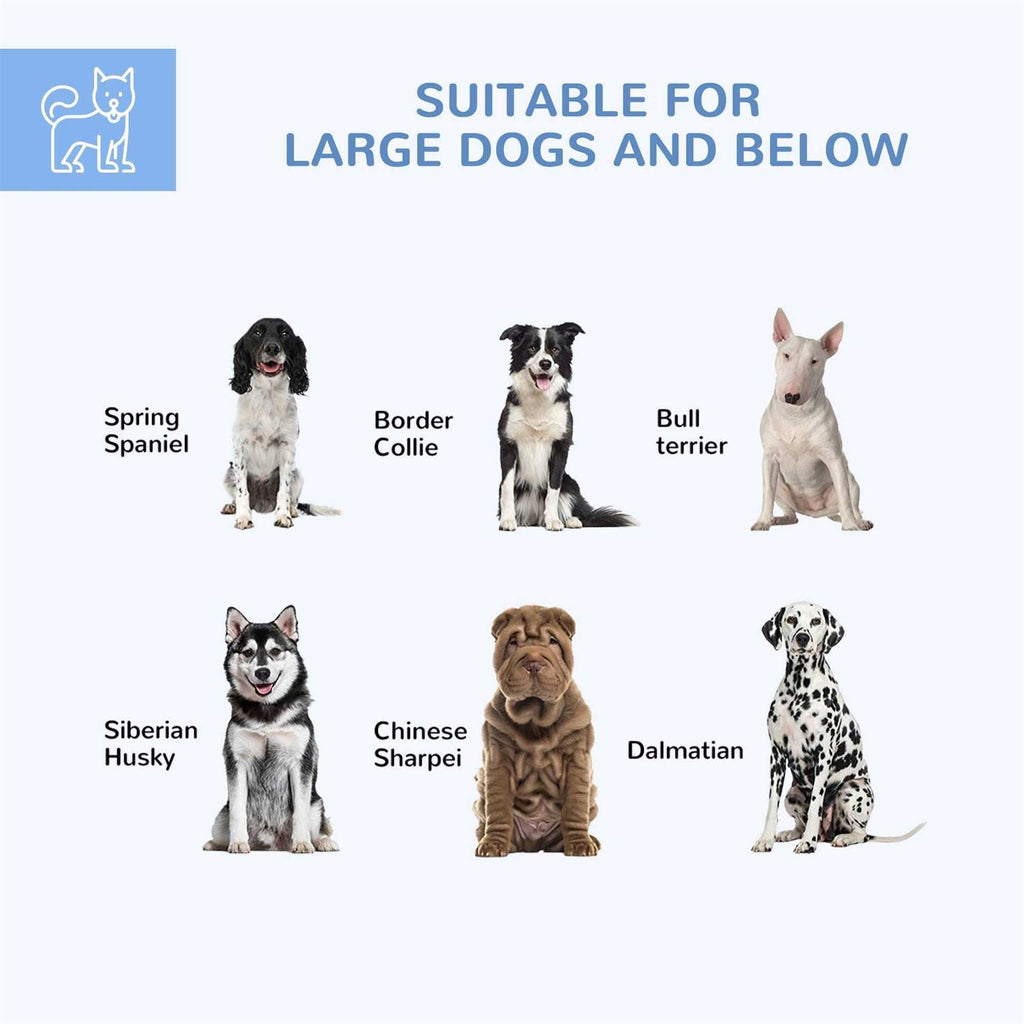 Large Outdoor Dog Kennel with Waterproof Roof Y836