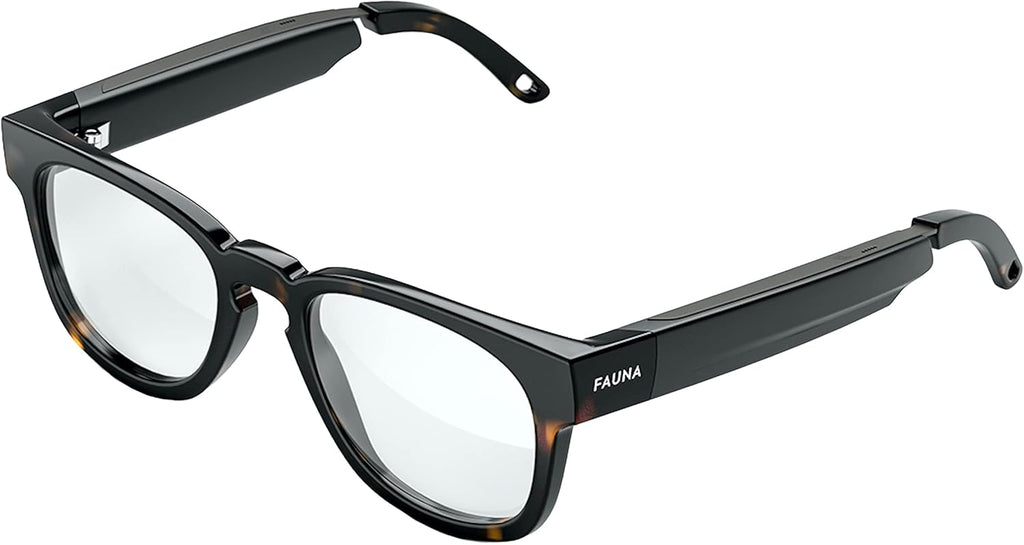 Bluetooth Audio Smart Glasses with Charging Case F4111