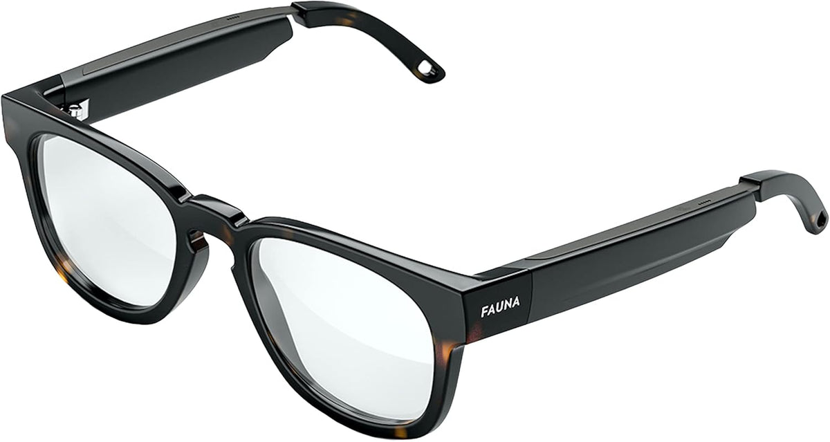 Bluetooth Audio Smart Glasses with Charging Case F4111
