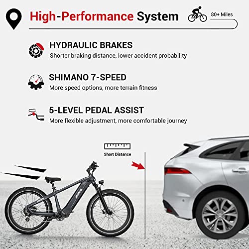 750W 48V 20Ah Removable Battery 26x4 Tire 7-Speed Electric Bike I376003