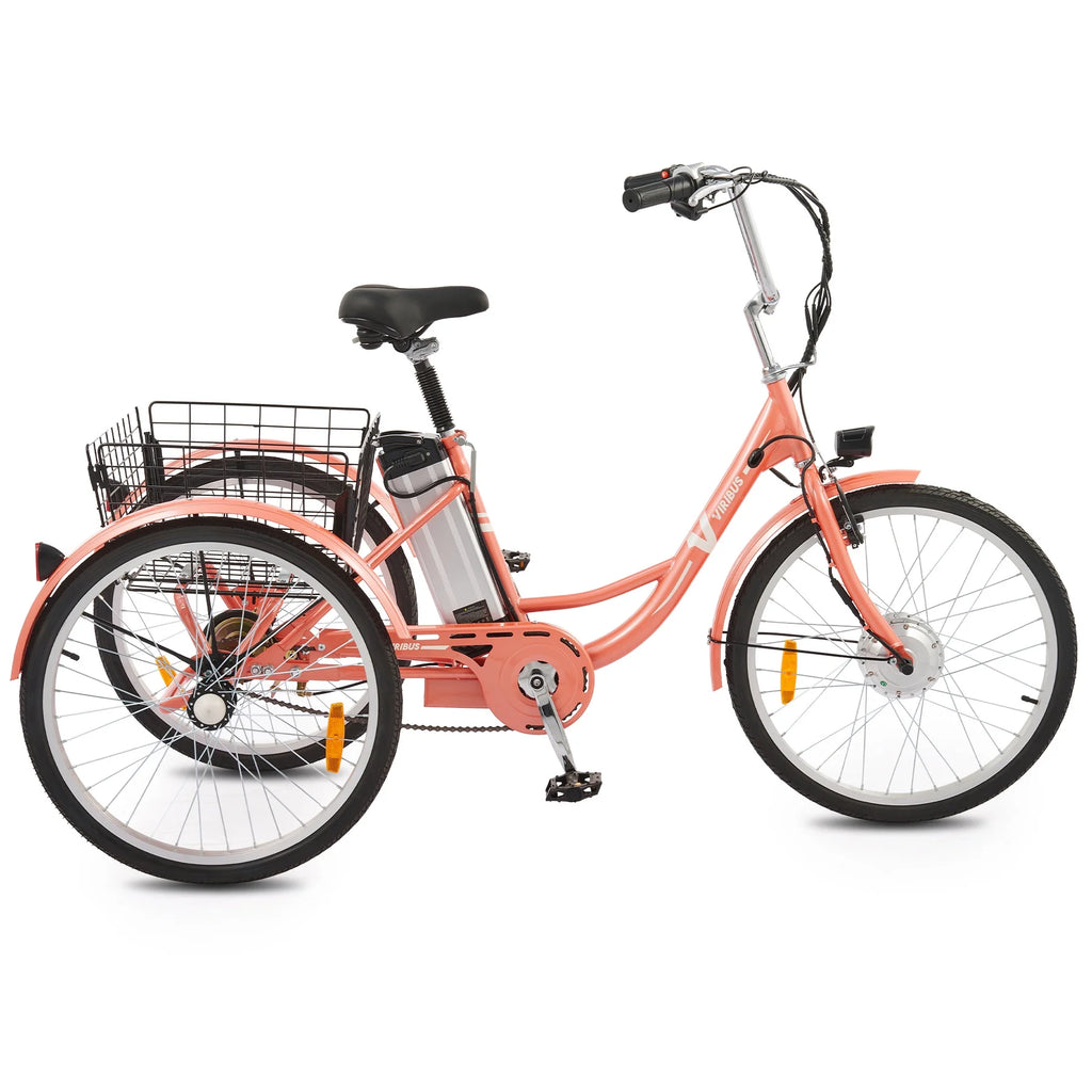 Electric Tricycle 3 Wheel 250W Black T616068