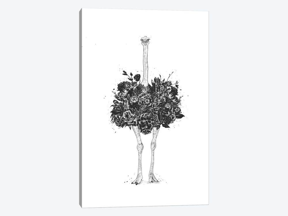 Floral Ostrich Canvas Art Print D66128