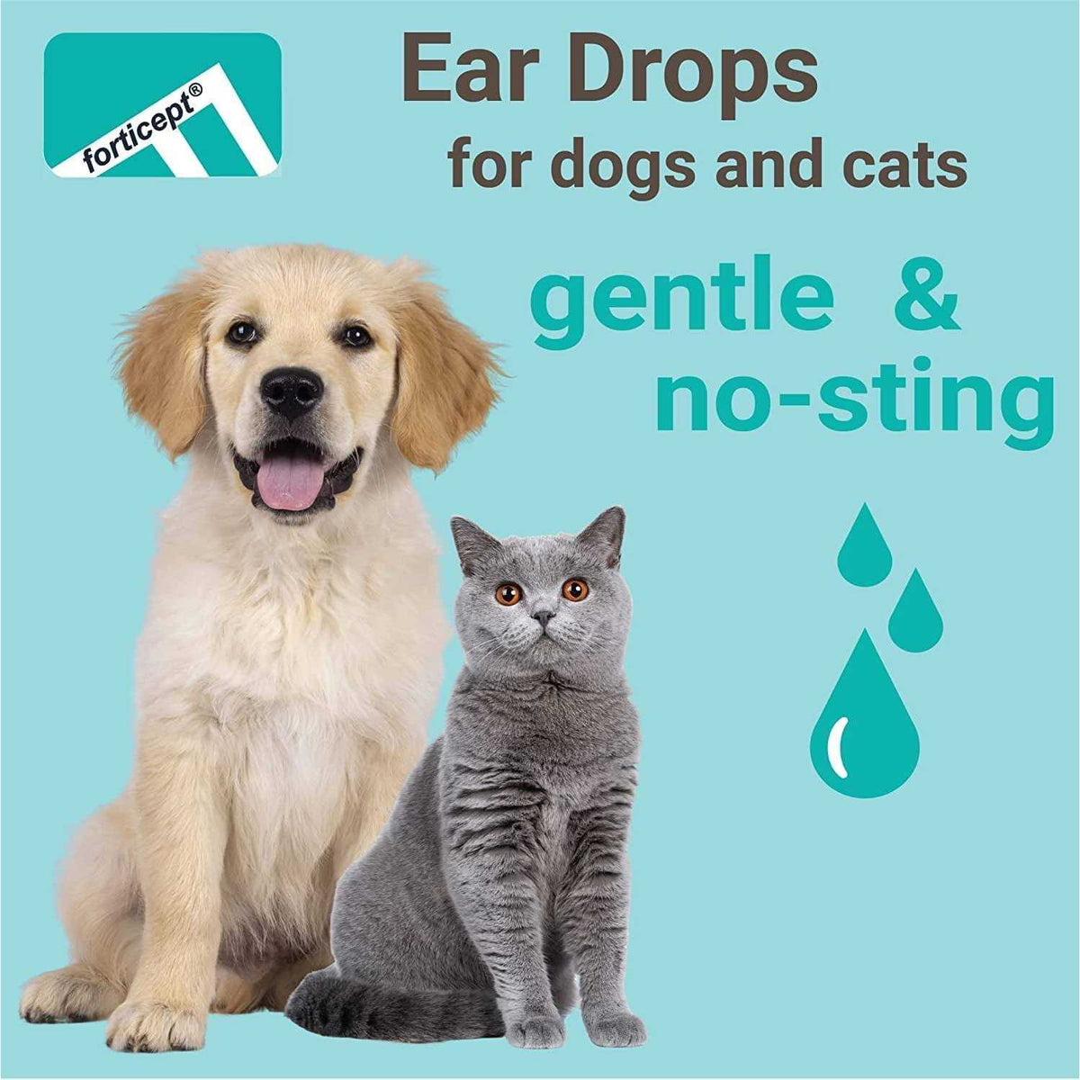 Cat & Dog Ear Wash Cleaner Z3786