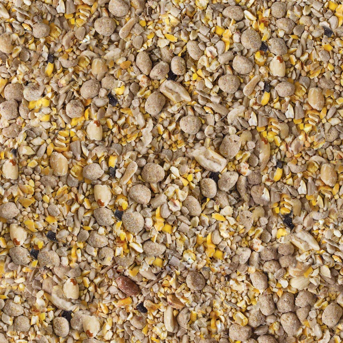 Seed & Suet Bird Food Y688