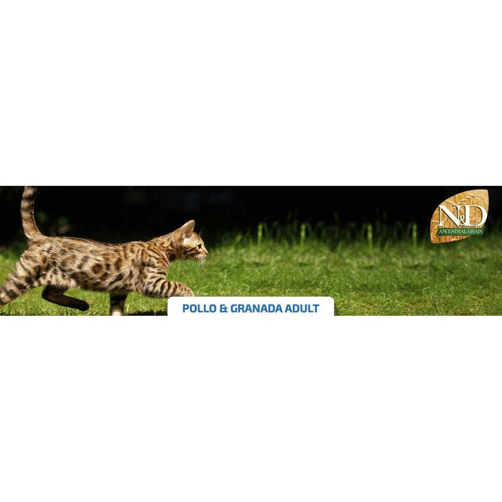 Chicken & Pomegranate Adult Dry Cat Food A317997