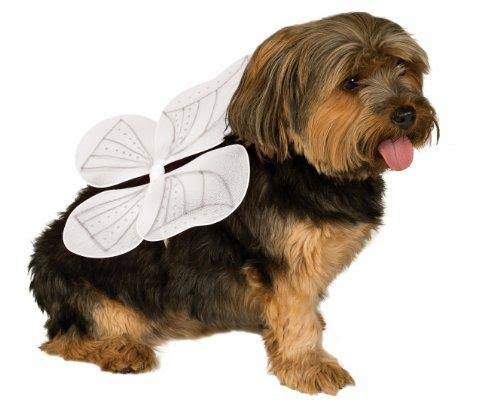 Black Leather Dog Collar I782237