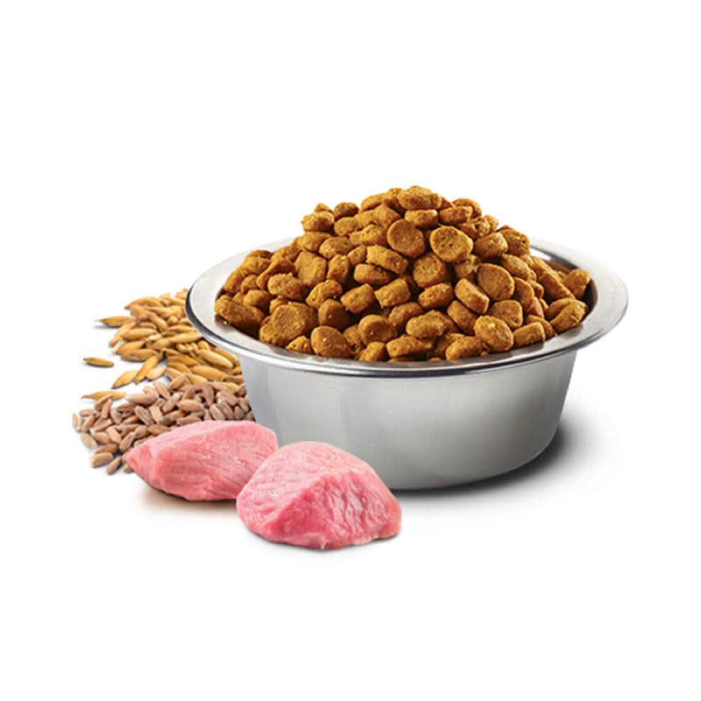 Chicken & Pomegranate Adult Dry Cat Food A317997