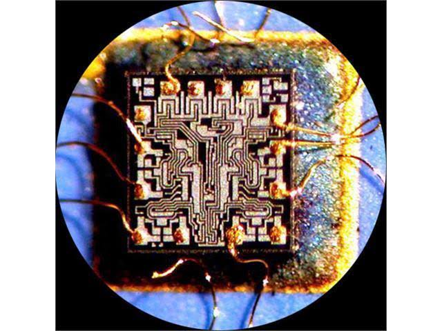 Binocular Stereo Zoom Microscope WH10x Eyepieces 3.5x 90X Magnification W24796