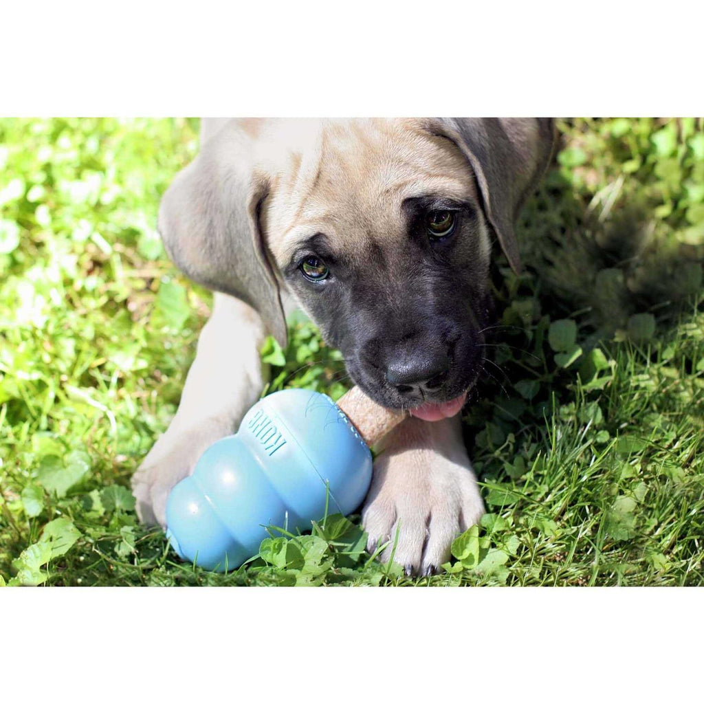 Pet Supplies P75591