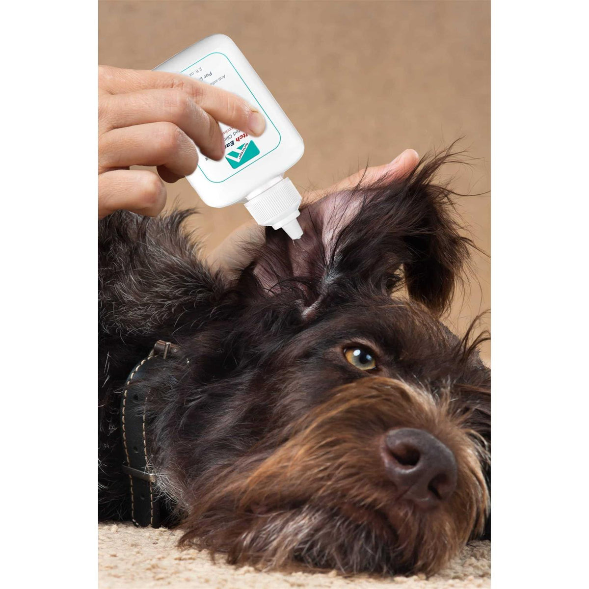 Cat & Dog Ear Wash Cleaner Z3786