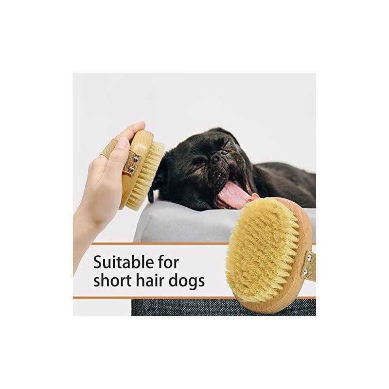 Soft Bristle Dog Brush for Short Haired Cats Dogs with Elastic Band Q699013