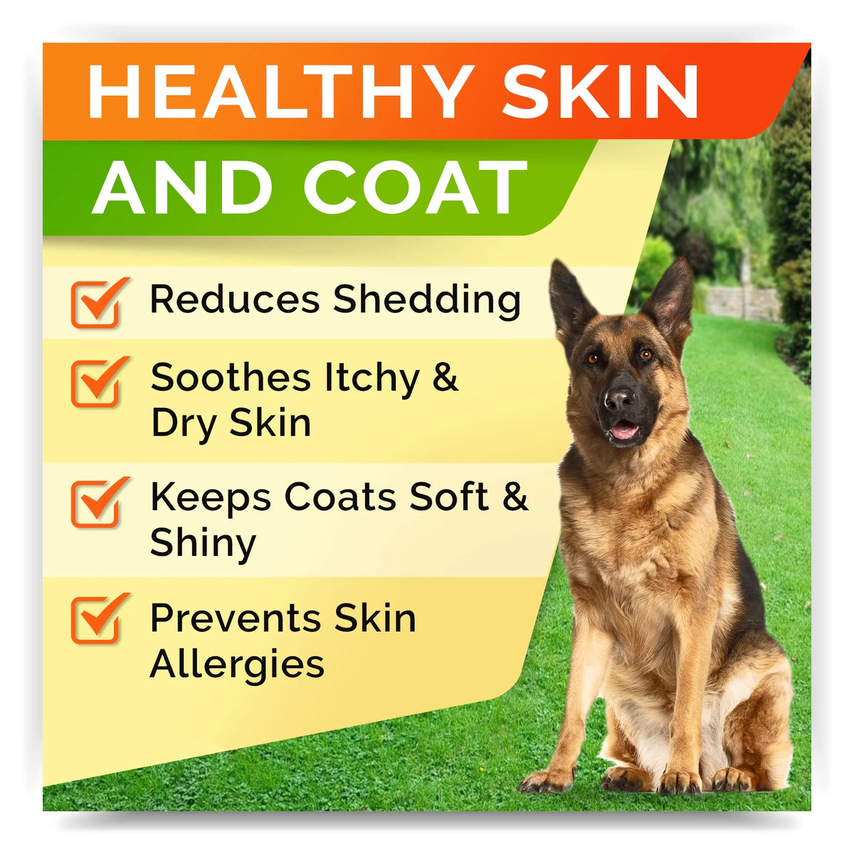 180 Chews Fish Oil Omega 3 Dog Treats R41717