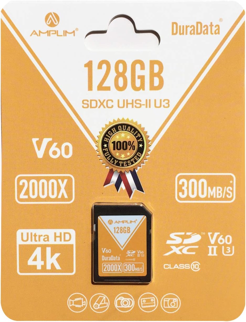 256GB V60 UHS-II SDXC Memory Card S85594