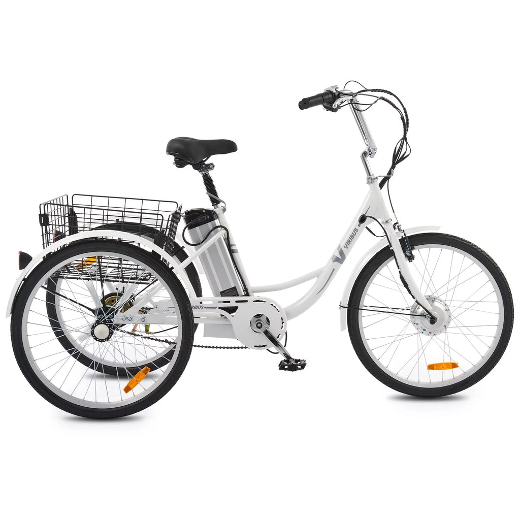 Electric Tricycle 3 Wheel 250W Black T616068