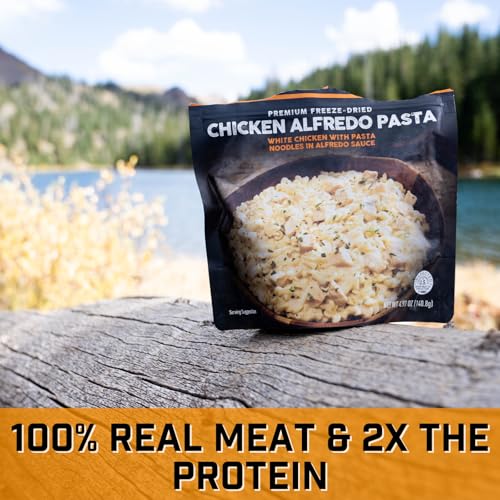 Chicken Alfredo Pasta Freeze Dried Camping Food 2-Pack Y6254