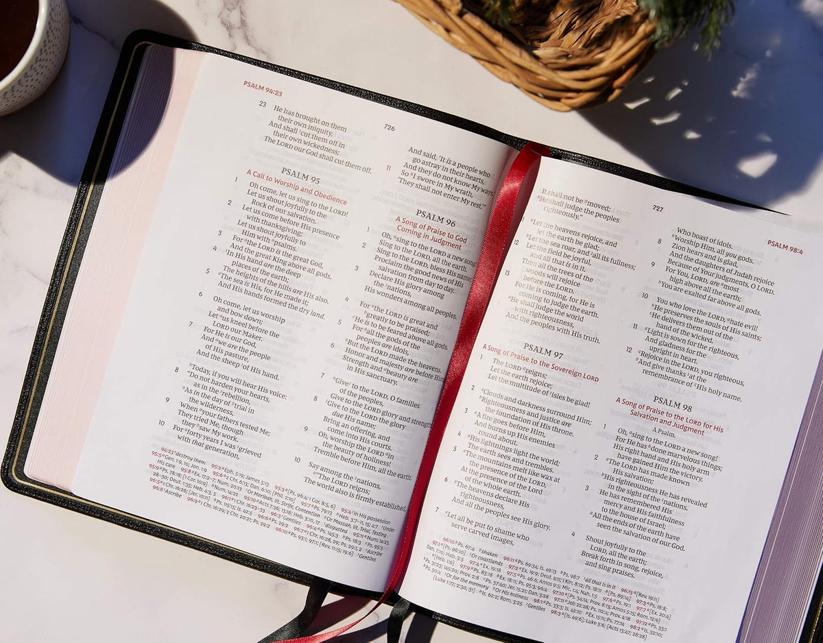Brown Leathersoft Large Print Holy Bible S128