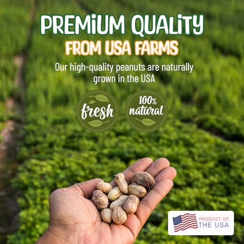 Raw Peanuts in Shell - 5 Pounds R31678