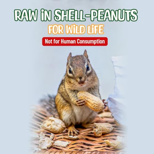 Raw Peanuts in Shell - 5 Pounds R31678