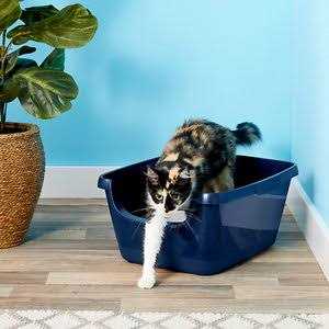 High Sided Cat Litter Box E96506