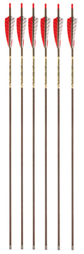 Carbon 550 Spine Feather Fletched 6 Pack L209