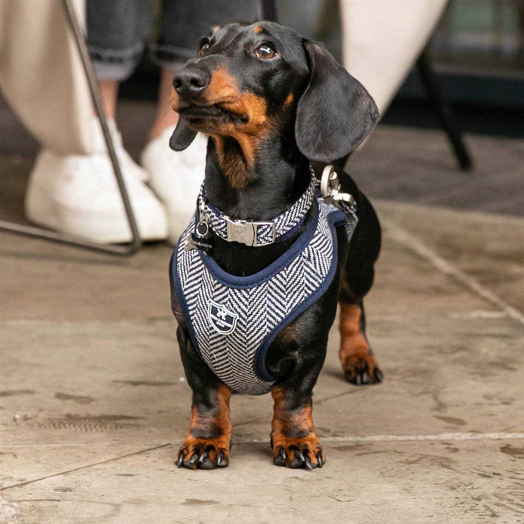 Tweed Dog Harness Vest S35049