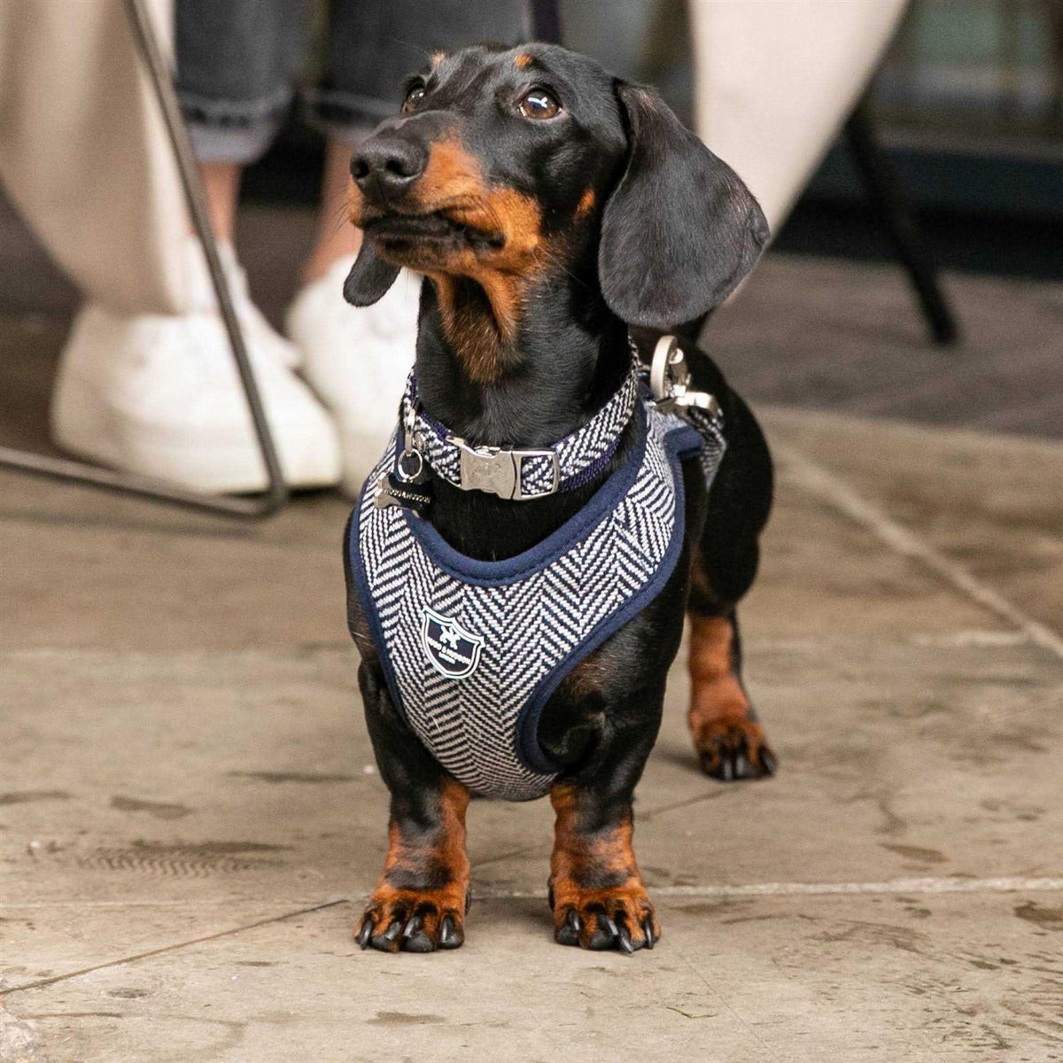 Tweed Dog Harness Vest S35049