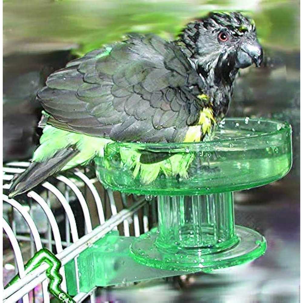 Bird Bath S74389