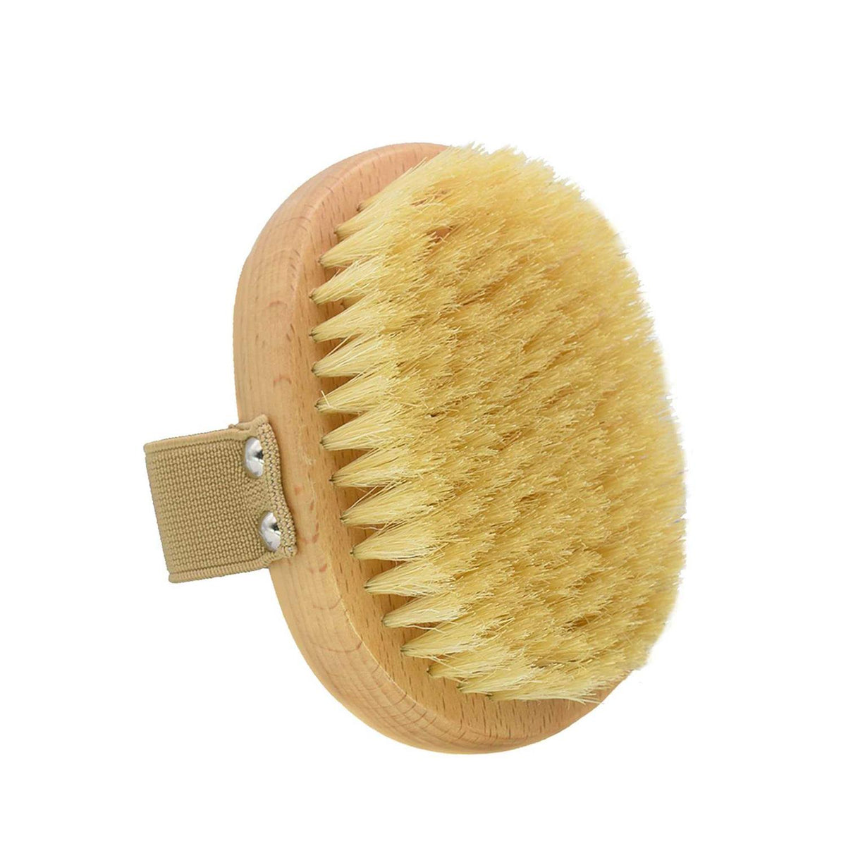 Soft Bristle Dog Brush for Short Haired Cats Dogs with Elastic Band Q699013