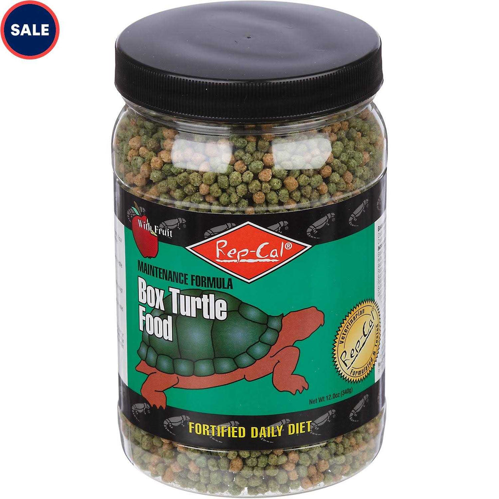 Box Turtle Food Z170093