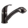 Pull-Out Kitchen Faucet Q539