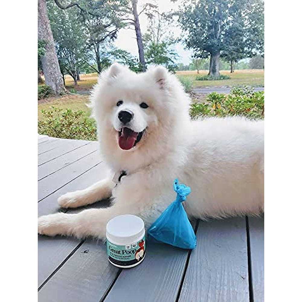 Probiotics for Dogs Digestive Enzymes Supplement G269