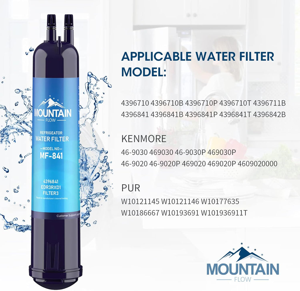 Water Filter Cap (2Pack) H9366