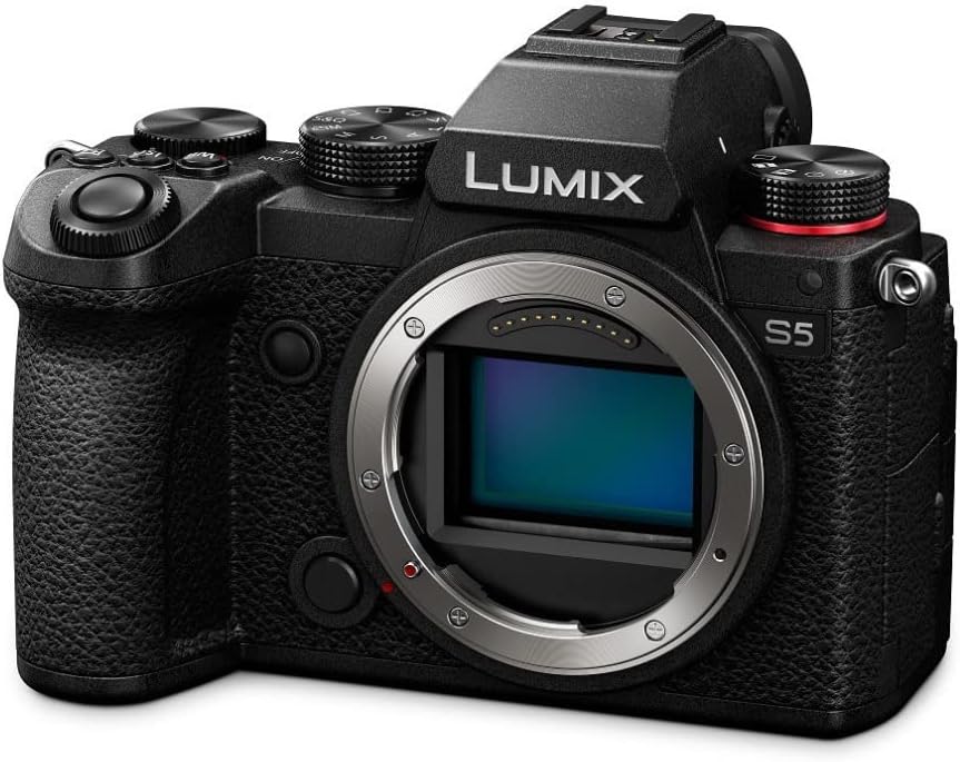 4K Mirrorless Full-Frame L-Mount Camera with 50mm f/1.8 Lens and Battery Bundle M19798