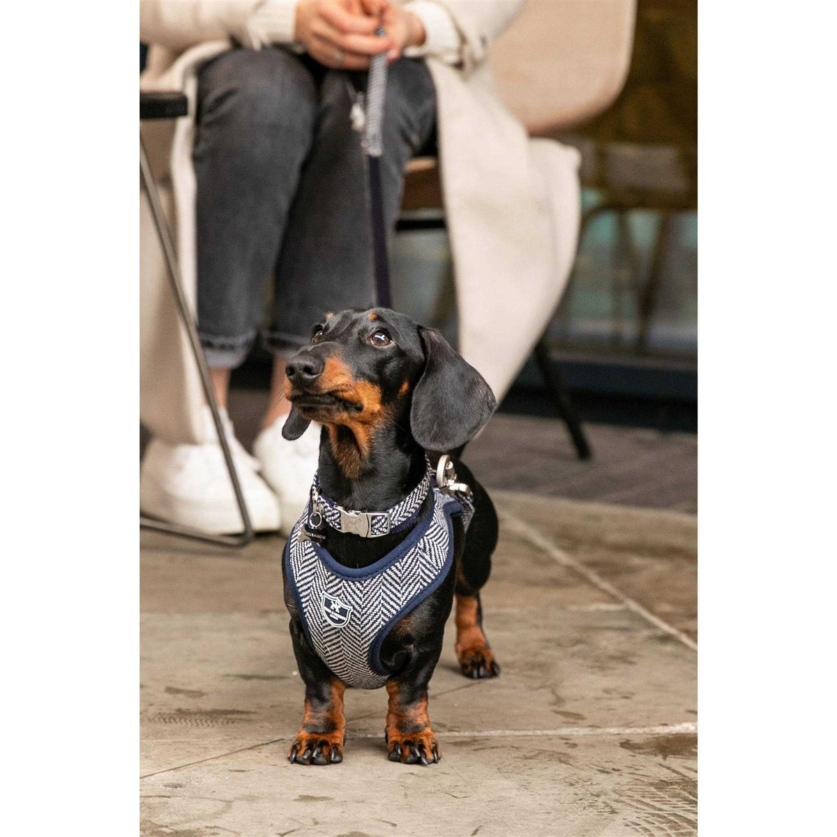 Tweed Dog Harness Vest S35049