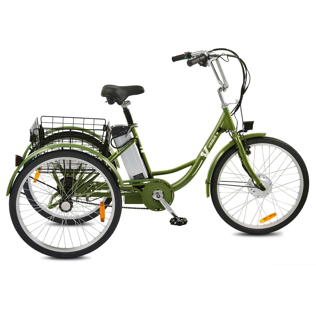 Electric Tricycle 3 Wheel 250W Black T616068